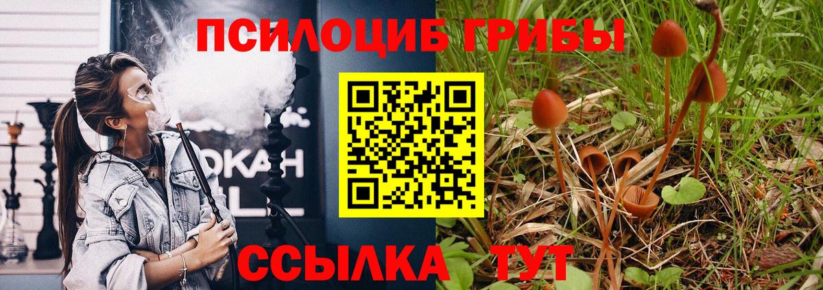 наркотики  Вход с VPN  Чернушка  Галлюциногенные грибы мицелий 